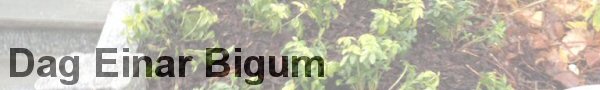 Klikk her for slideshow Dag Einar Bigum