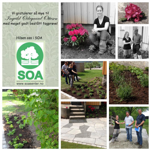 Klikk på bildet for forstørrelse