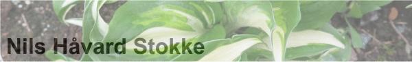 Klikk her for slideshow Nils Håvard Stokke