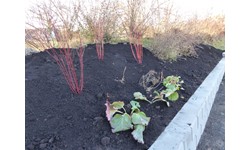 Bjørn Olav Skjerven Fjærestad