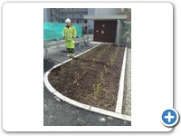 Ellen Aartrand Bolstad