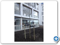 Ellen Aartrand Bolstad