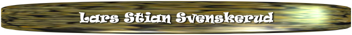 Lars Stian Svenskerud banner