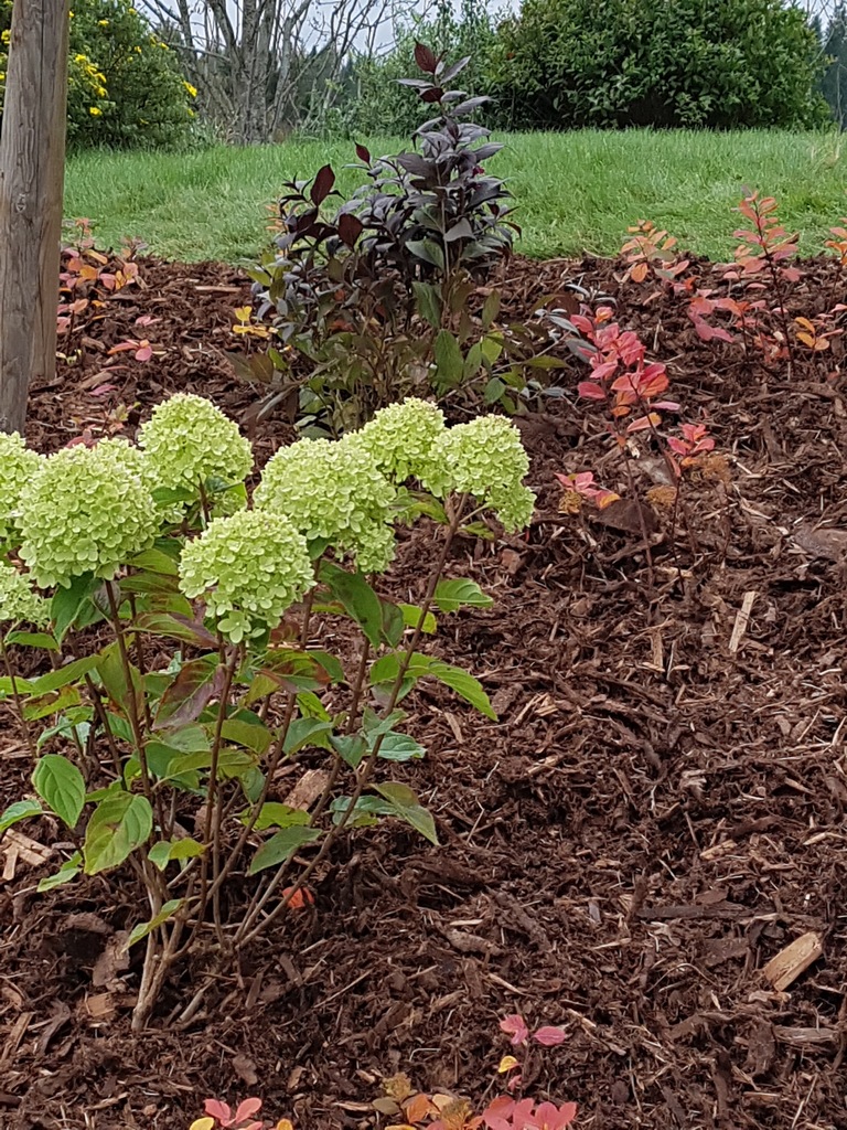 20170929 130931 Kopi