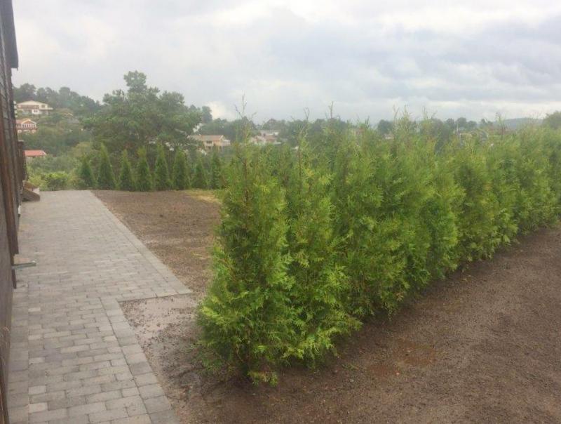 Fagprve Oda 18 aug 17 9