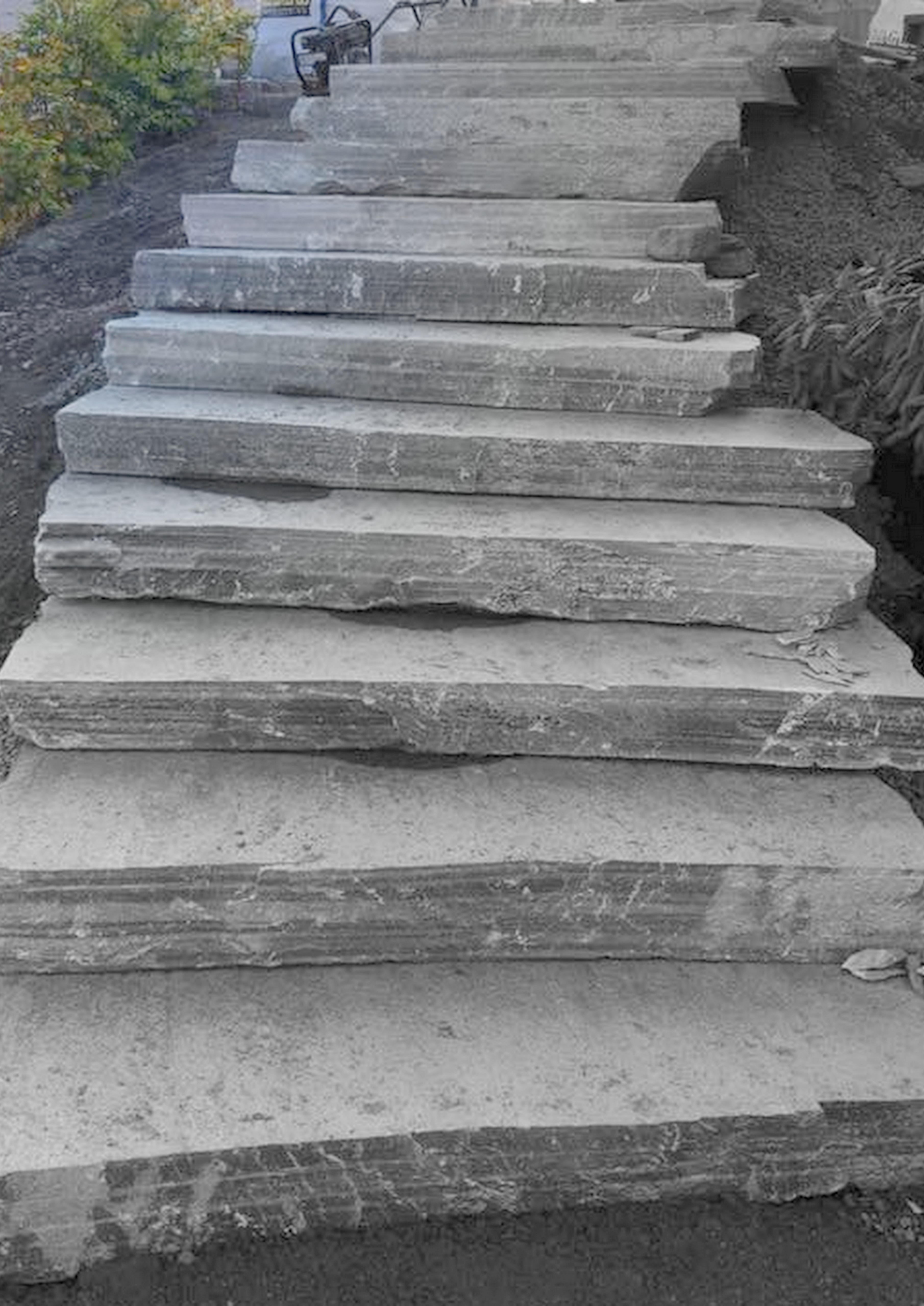 Abelhaug2