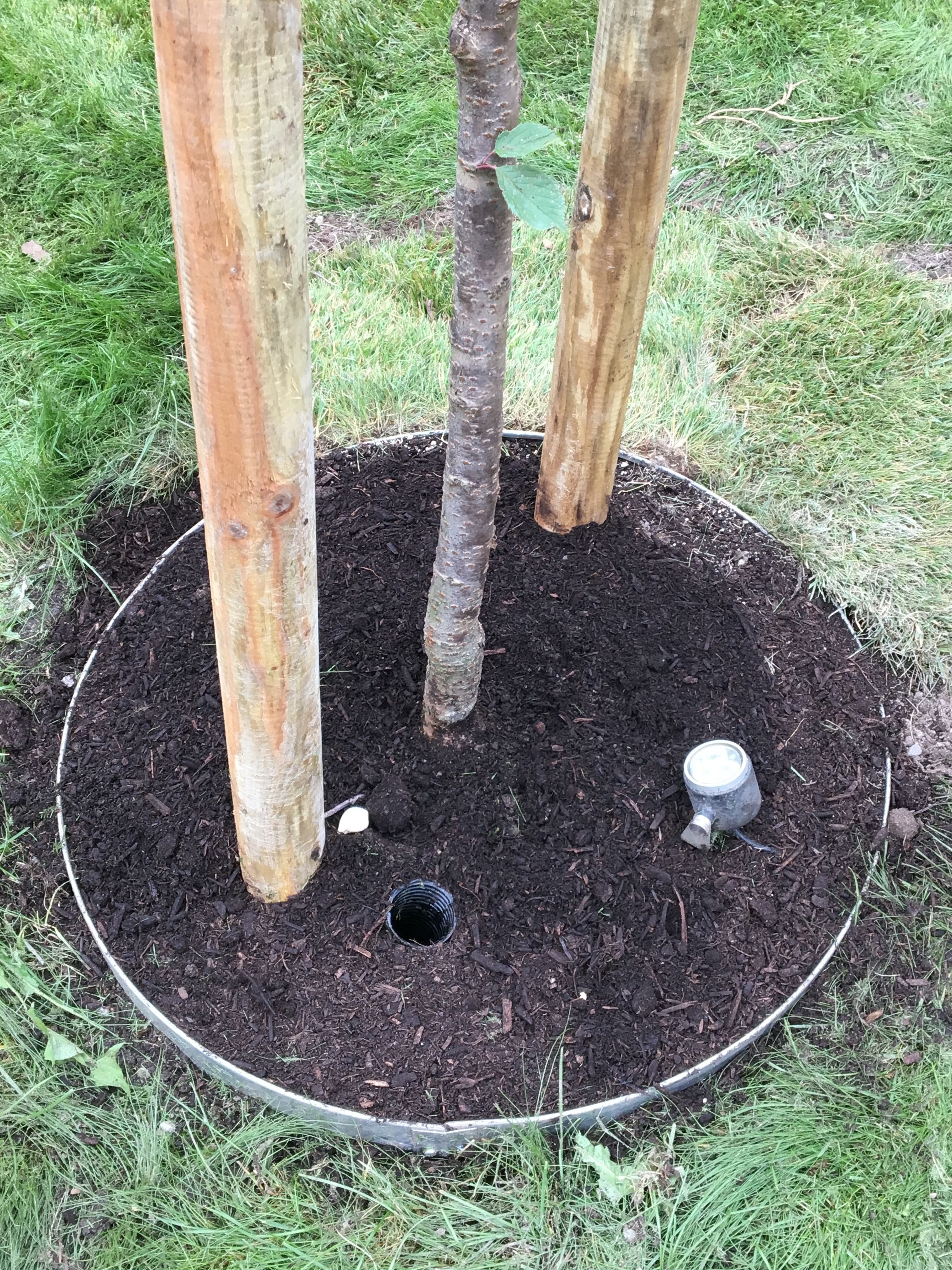 20180907 130925623 iOS