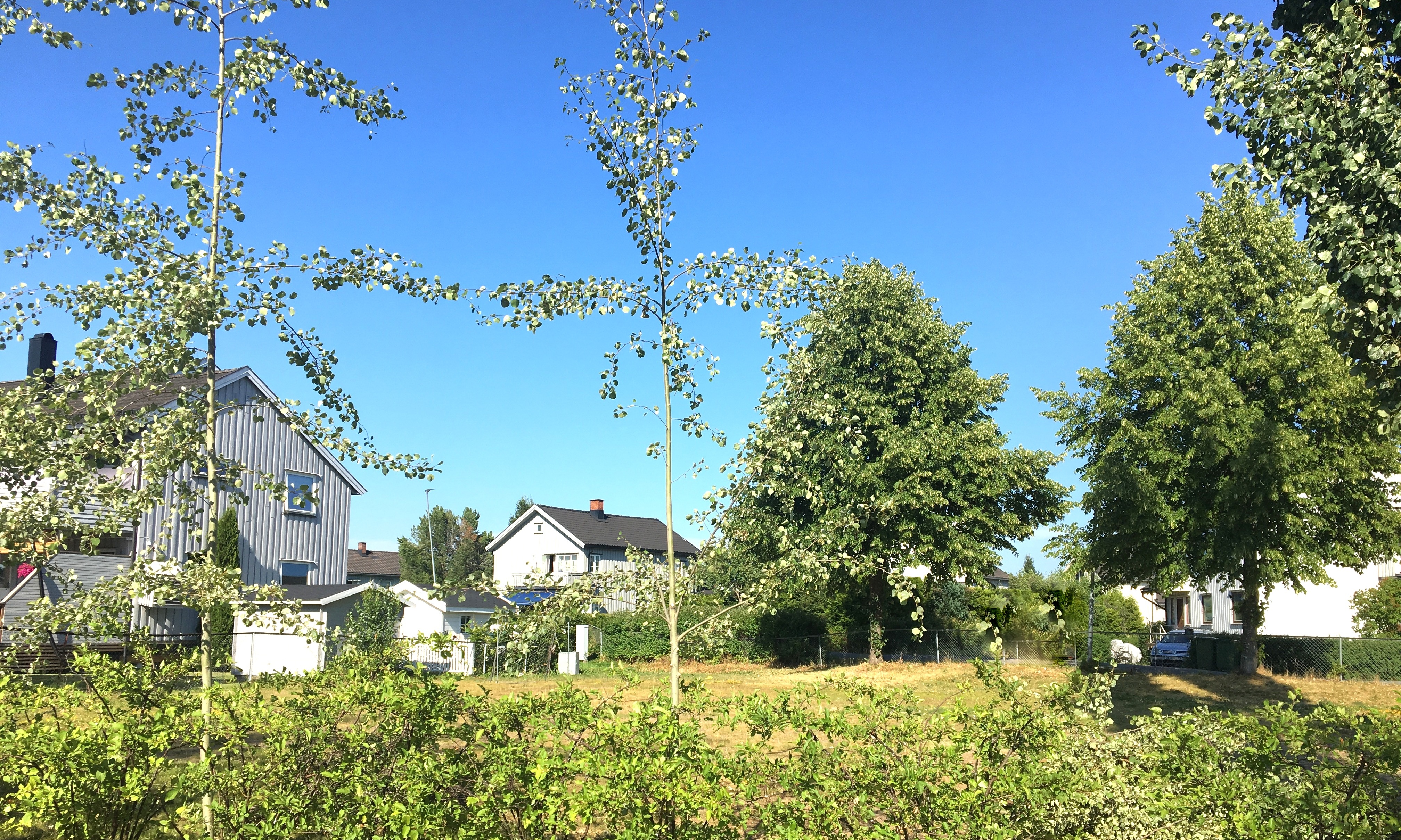 20180705 141159408 iOS