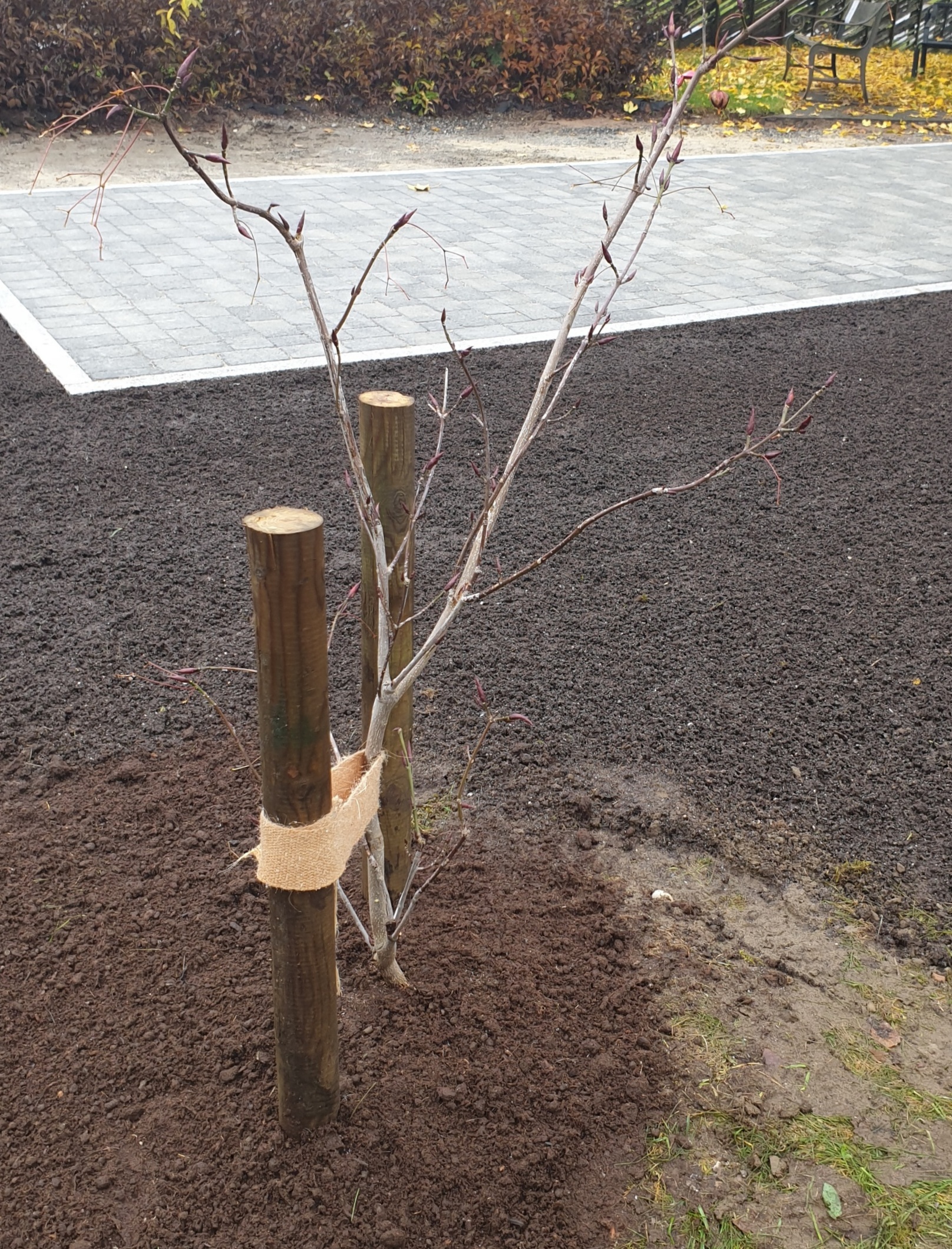 20191018 141036 resized