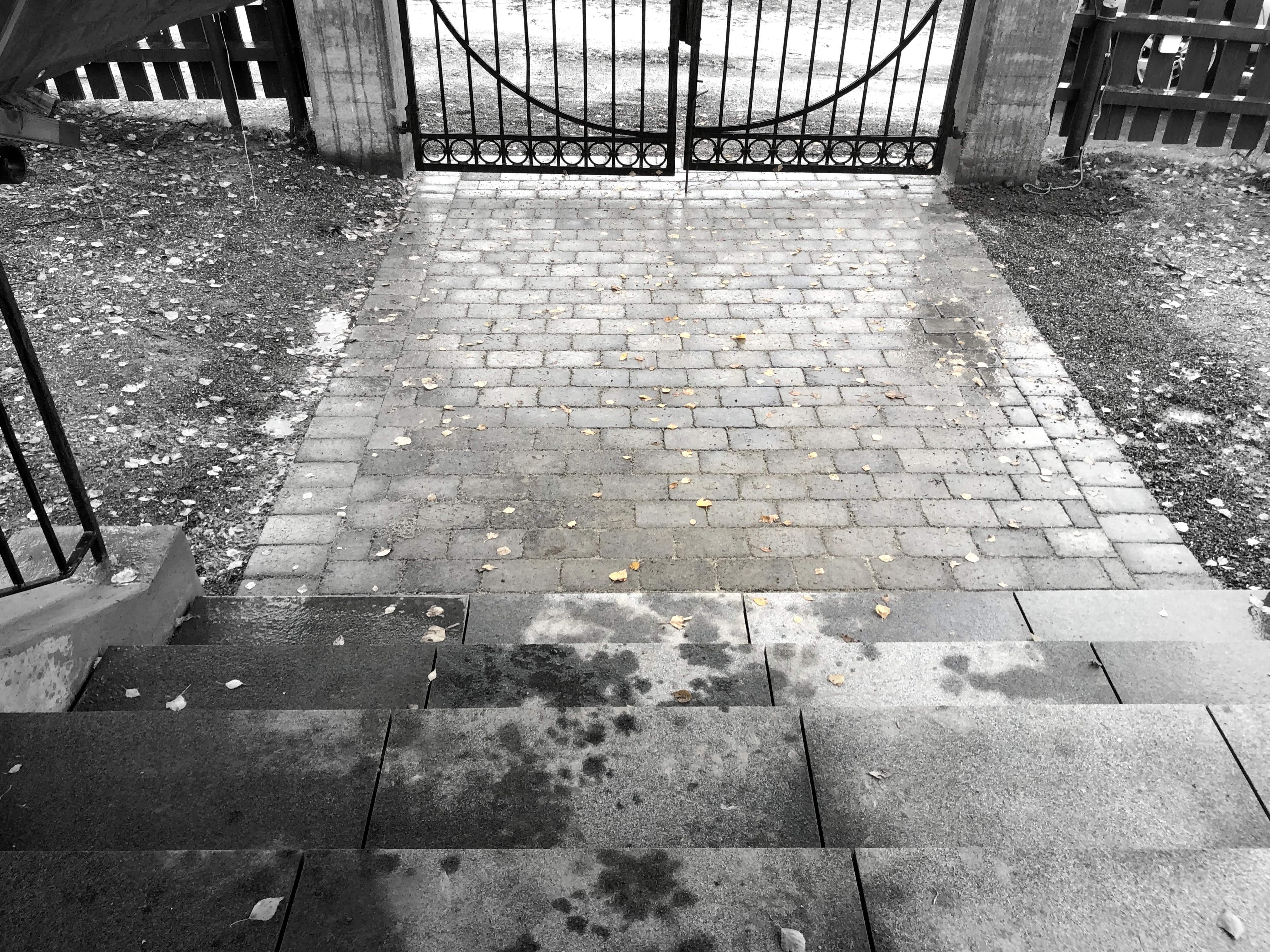 20191011 110829208 iOS