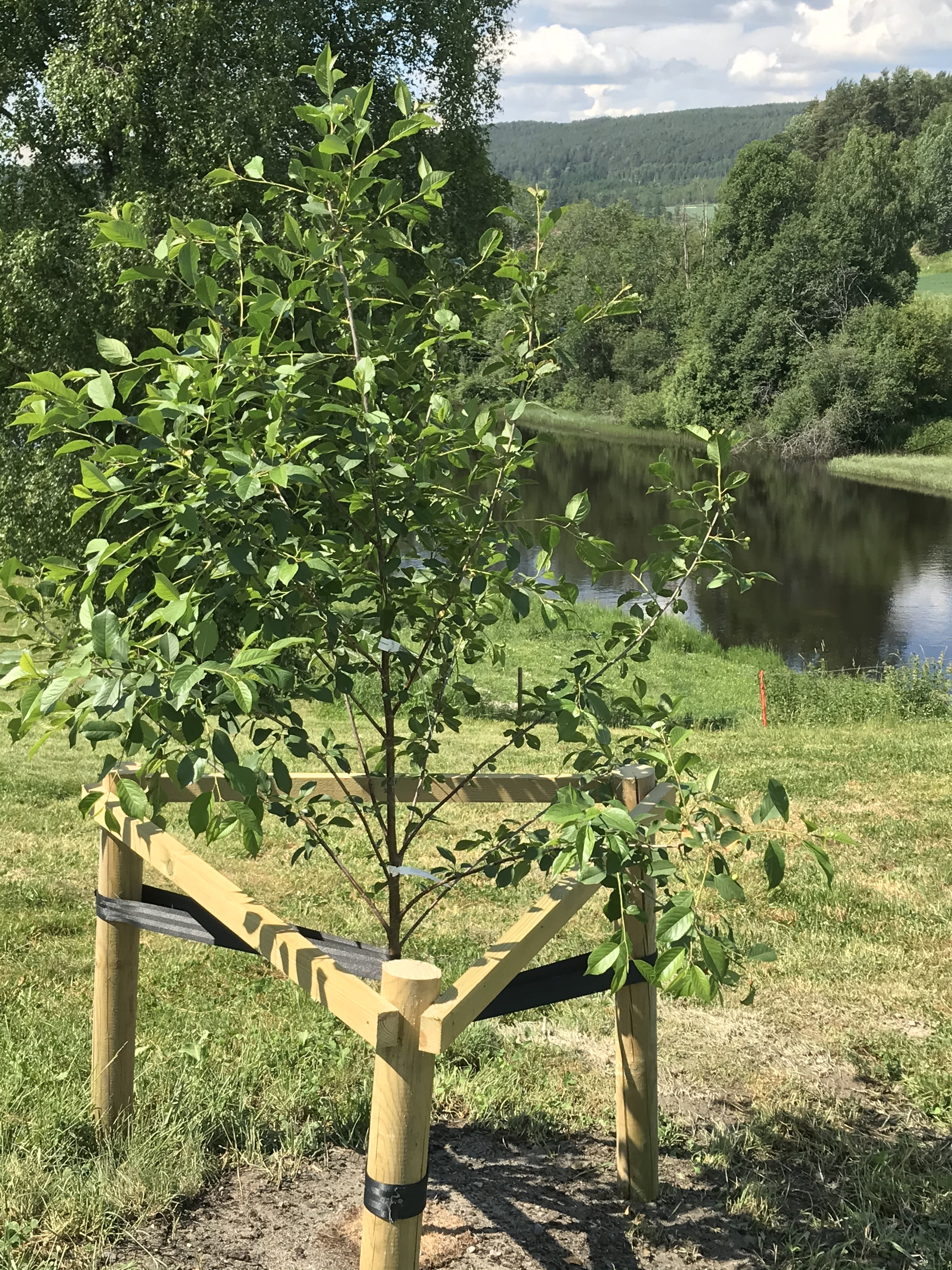 20200619 101406010 iOS