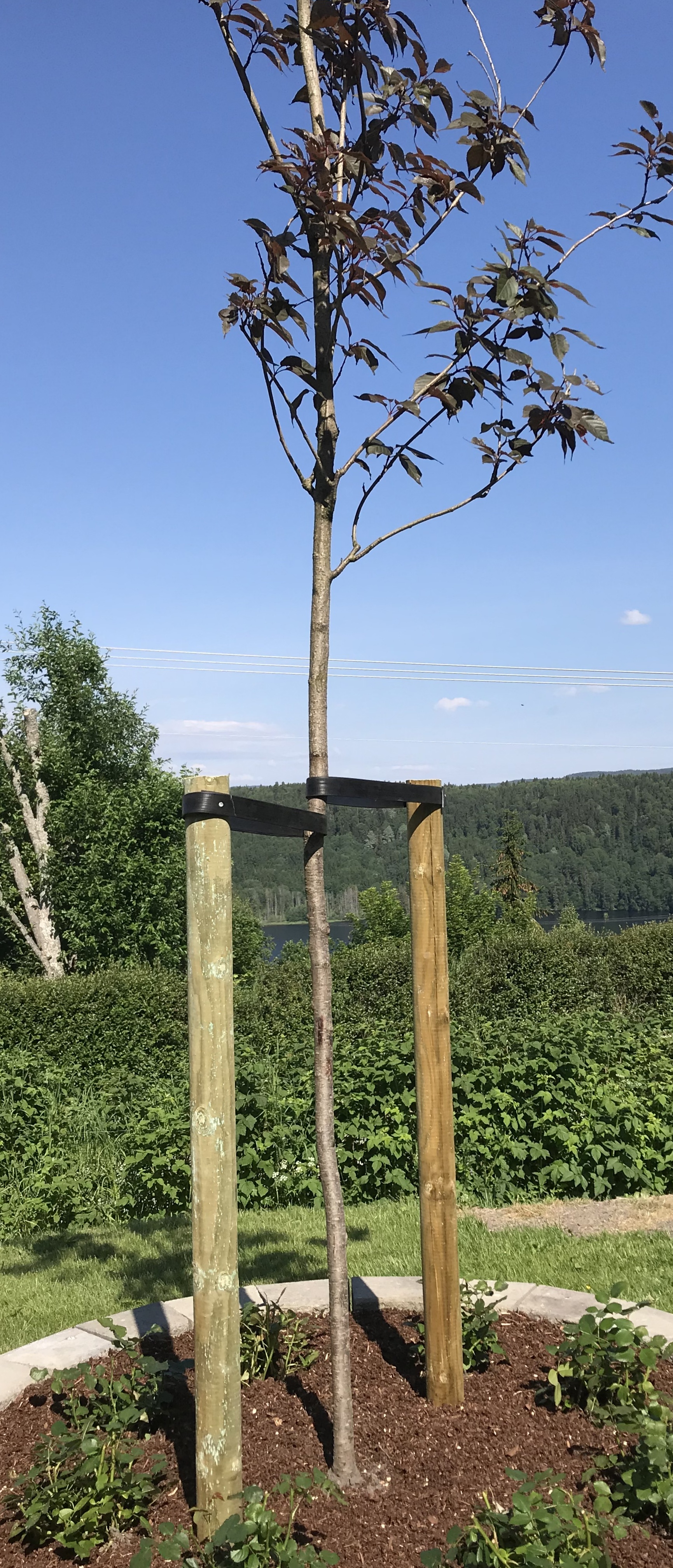 20200619 084124601 iOS