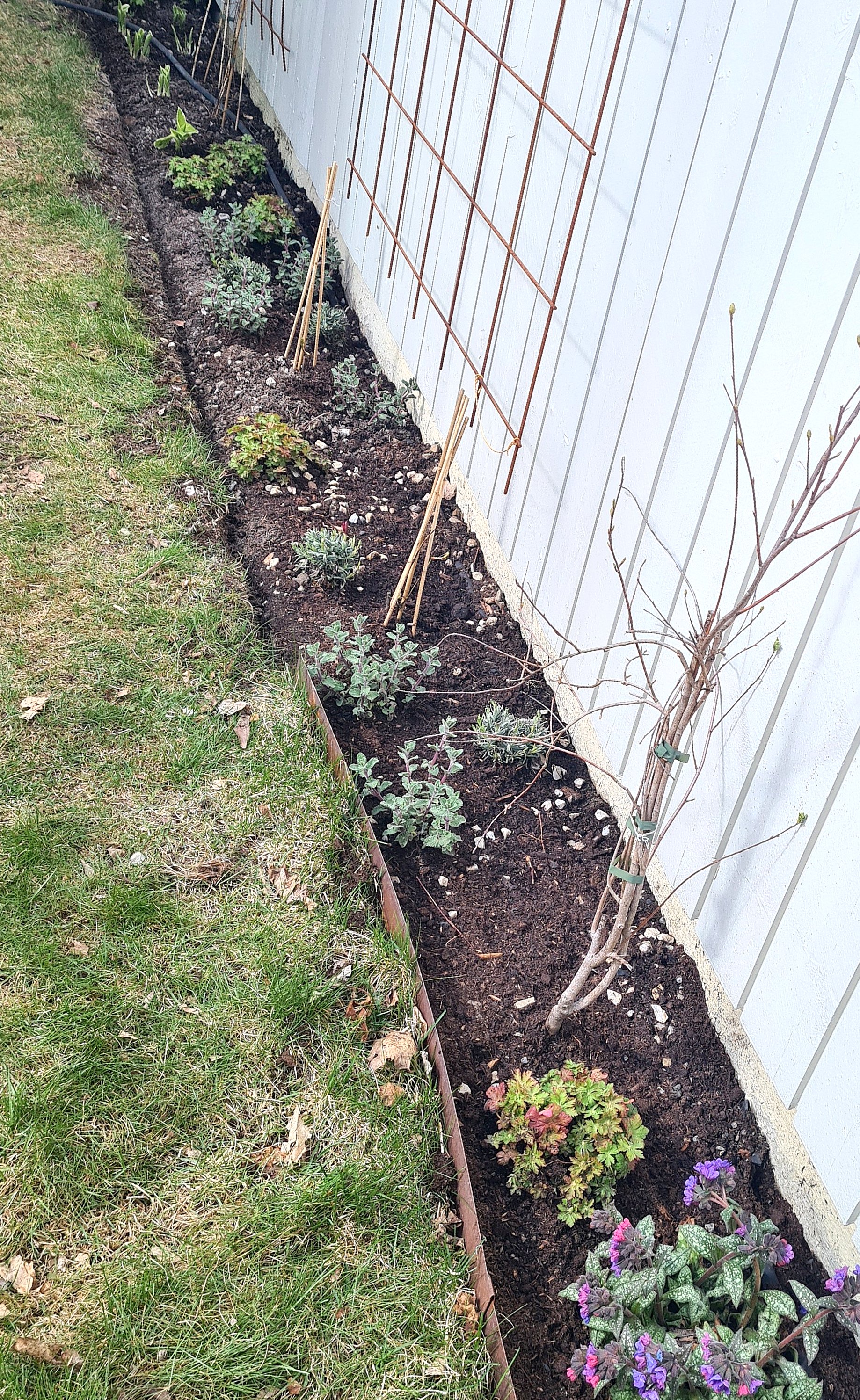 20210430 133553 resized