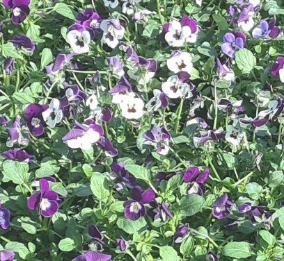 20210416 135904 resized