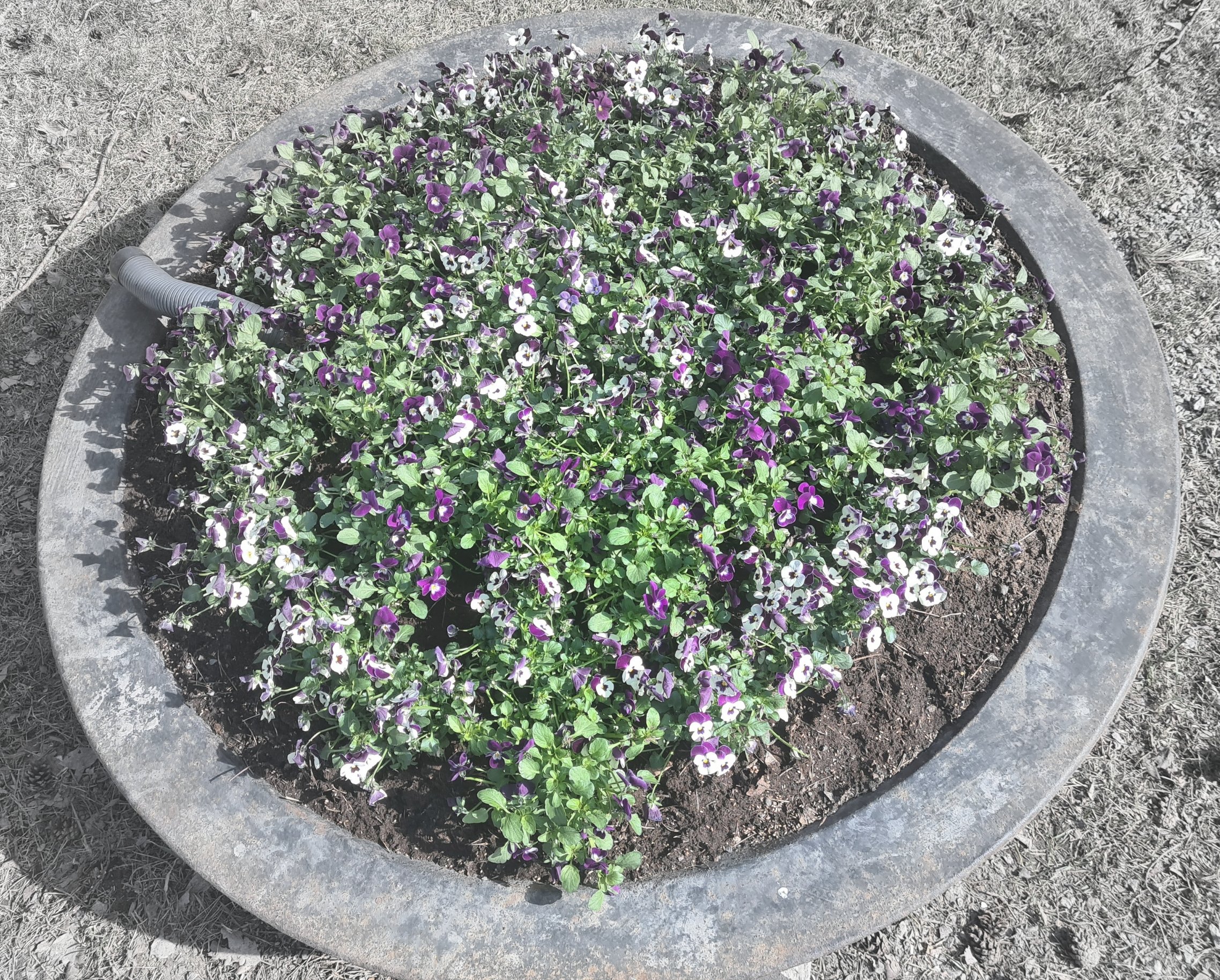 20210416 135909 resized