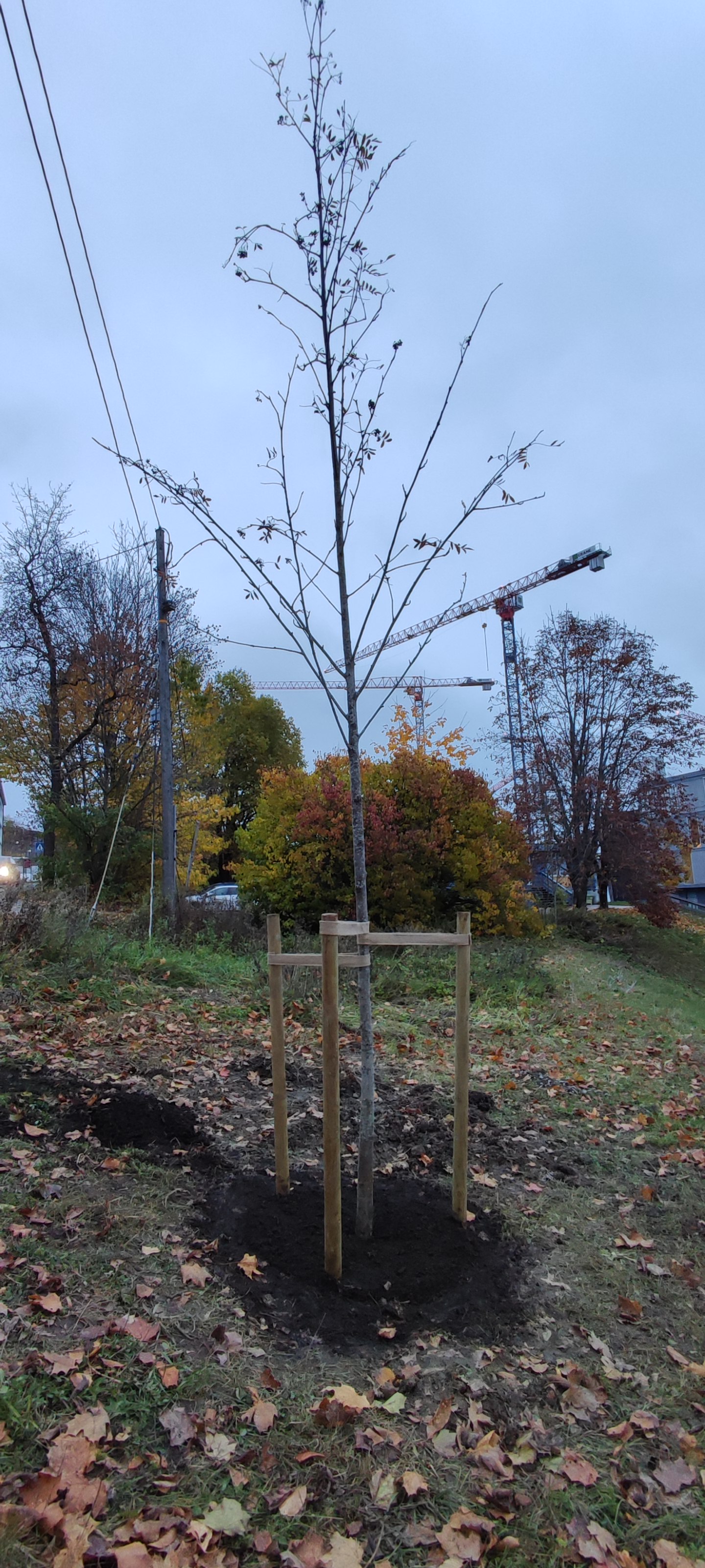 13 IMG 20221021 170348