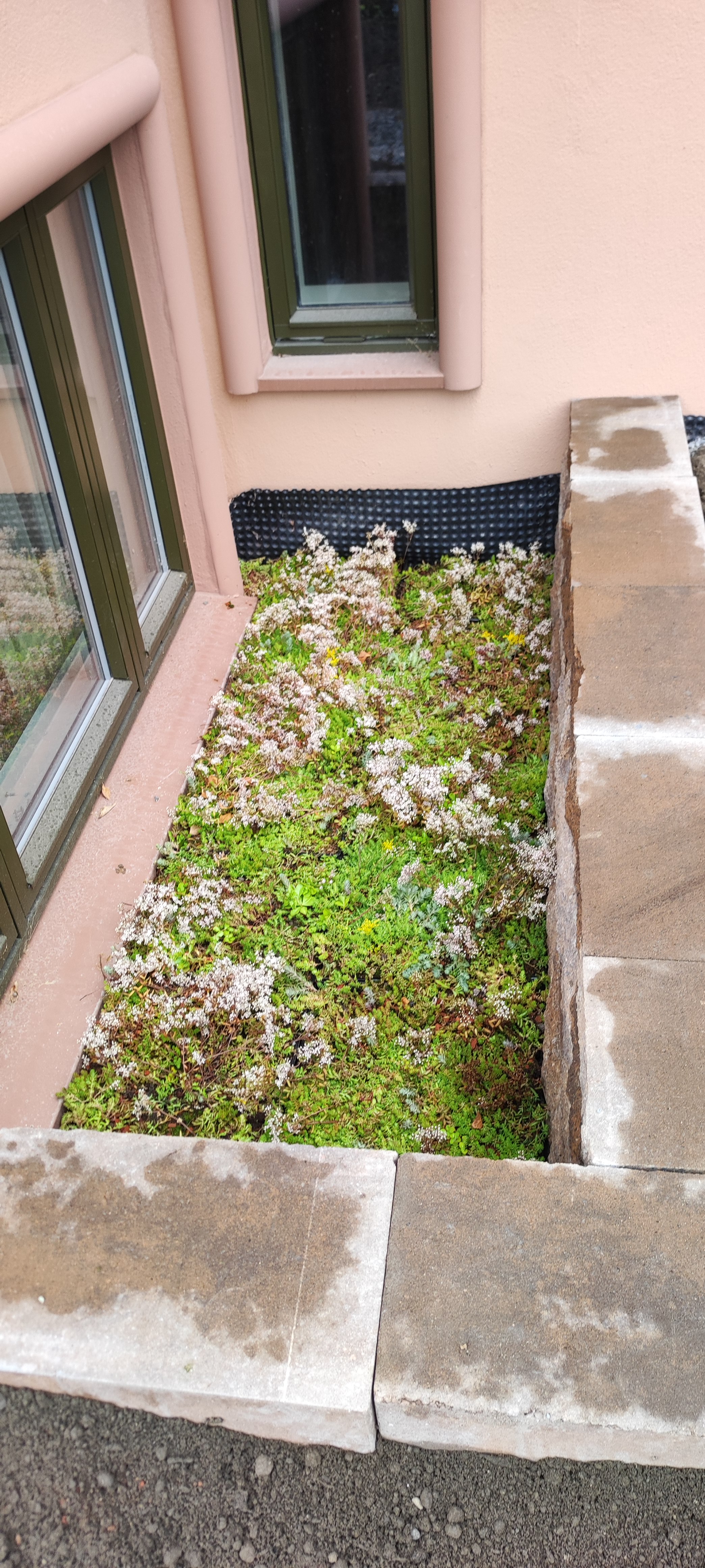 05 IMG 20220701 110016