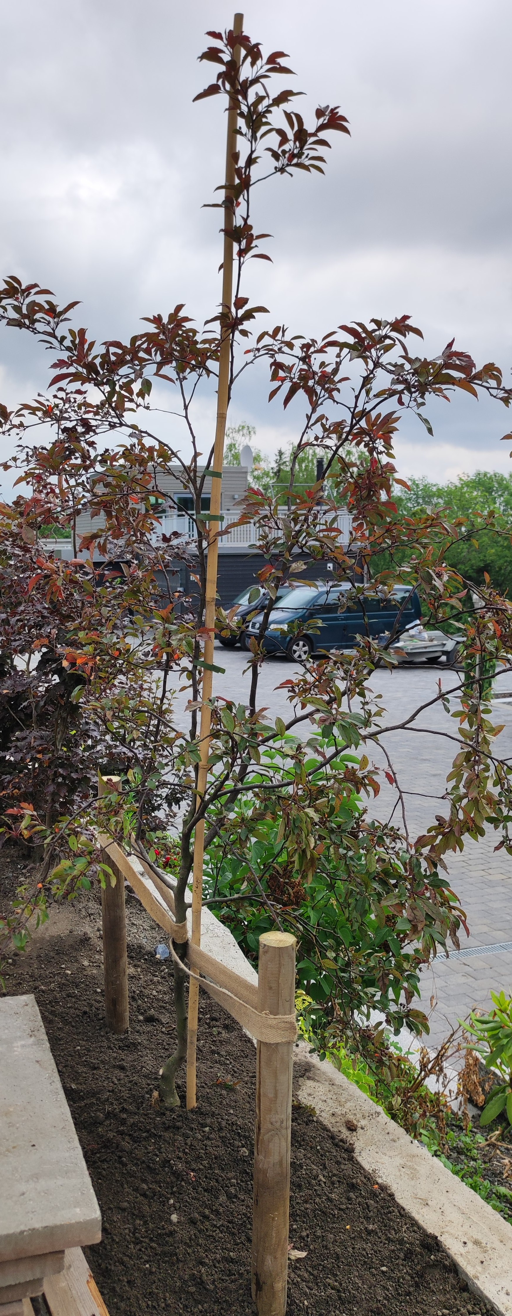 10 IMG 20220701 112236