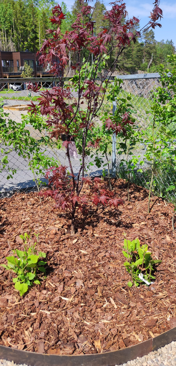 06 IMG 20230525 131527