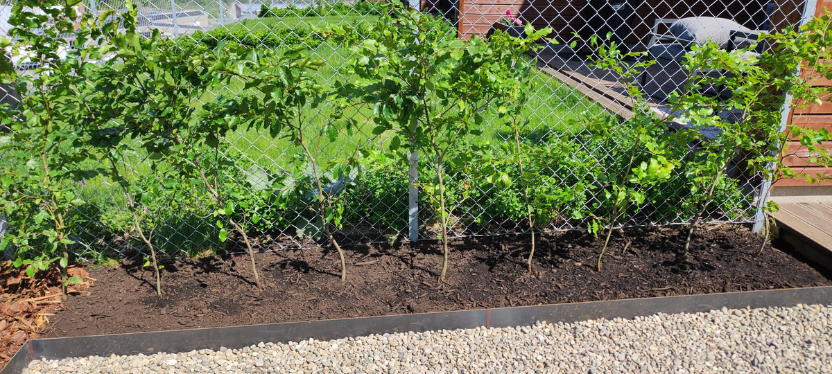 07 IMG 20230525 131532