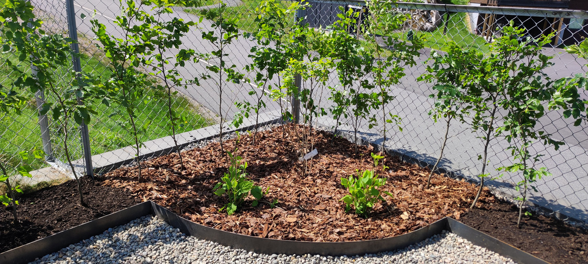 08 IMG 20230525 131541