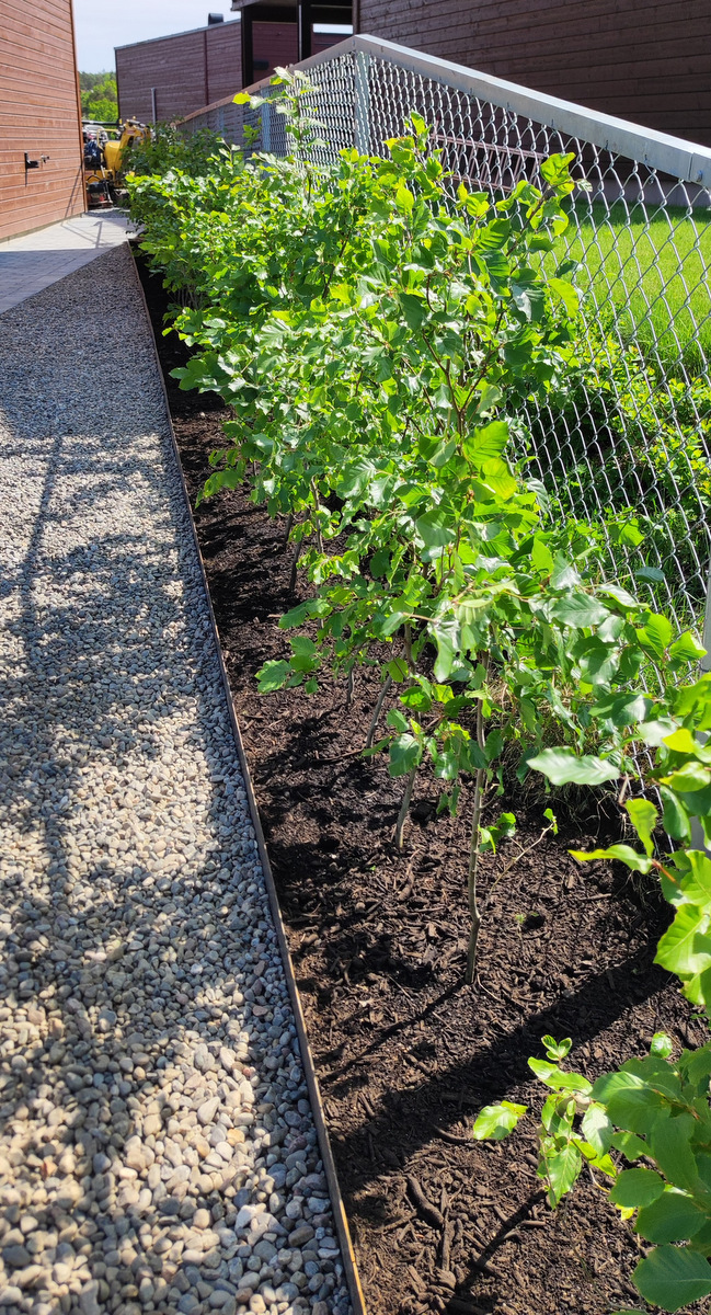 09 IMG 20230525 131556