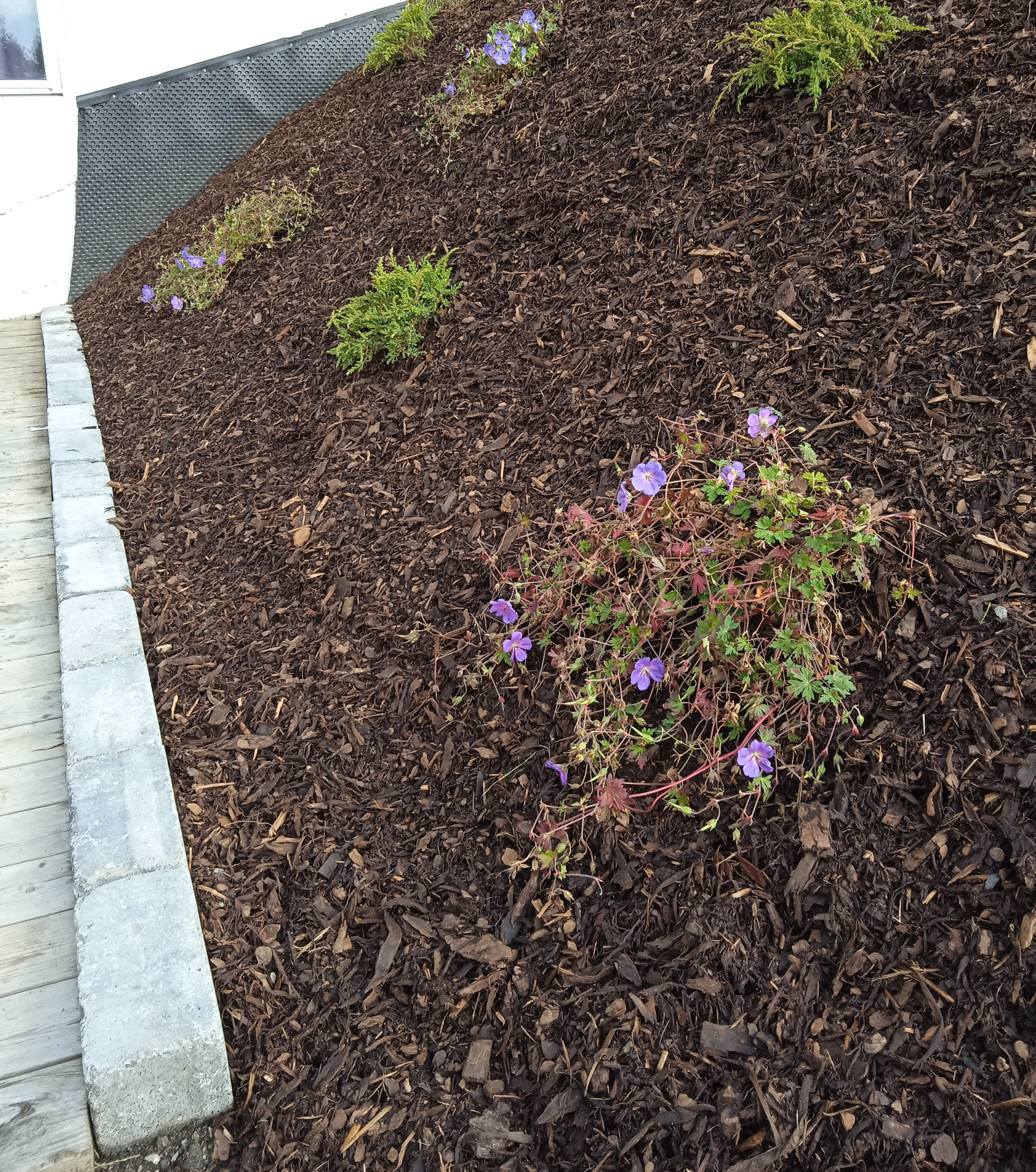 IMG 20240830 151847 1