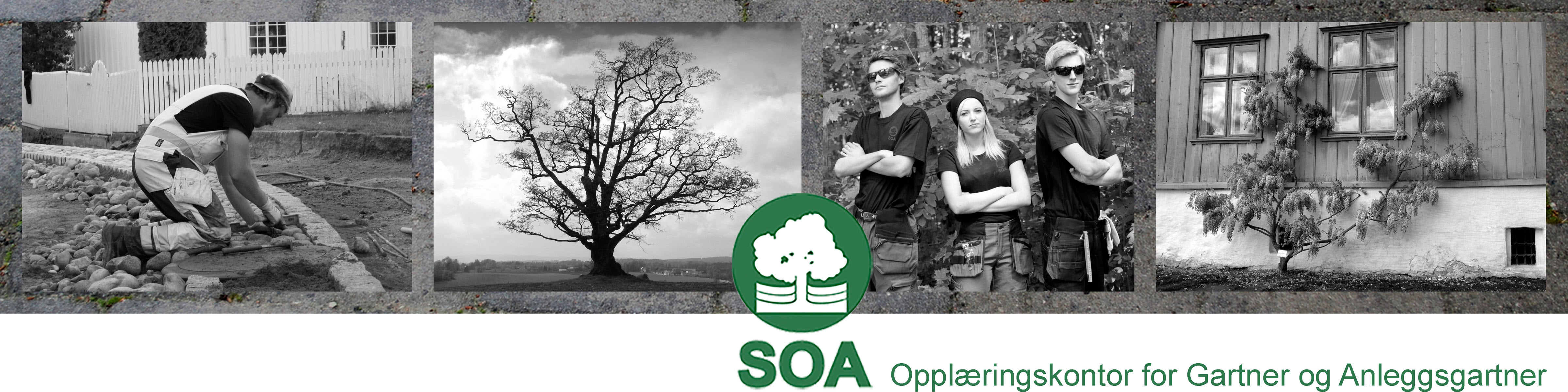 SOAsenter