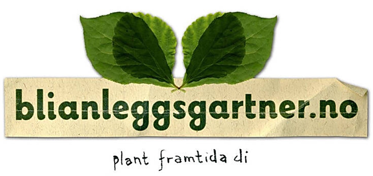 Your image